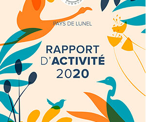 Rapport d'activité du Pays de Lunel pour l'année 2020