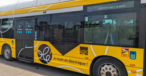 Photo d'un bus jaune et noir floqué aux couleurs d'Olé, le réseau de transport de Lunel Agglo.